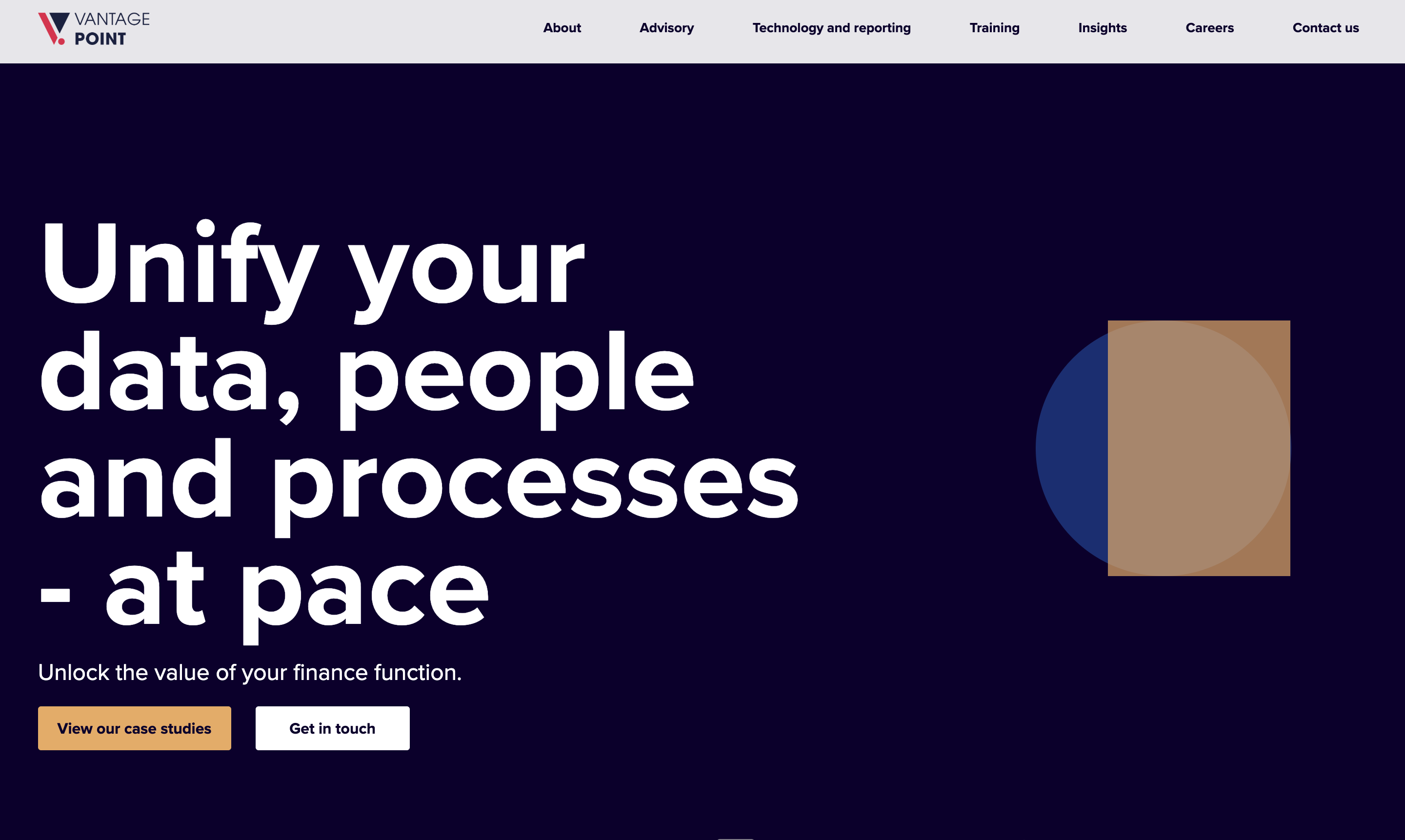 VantagePoint Consulting website showcase